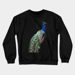 Indian Peafowl Crewneck Sweatshirt